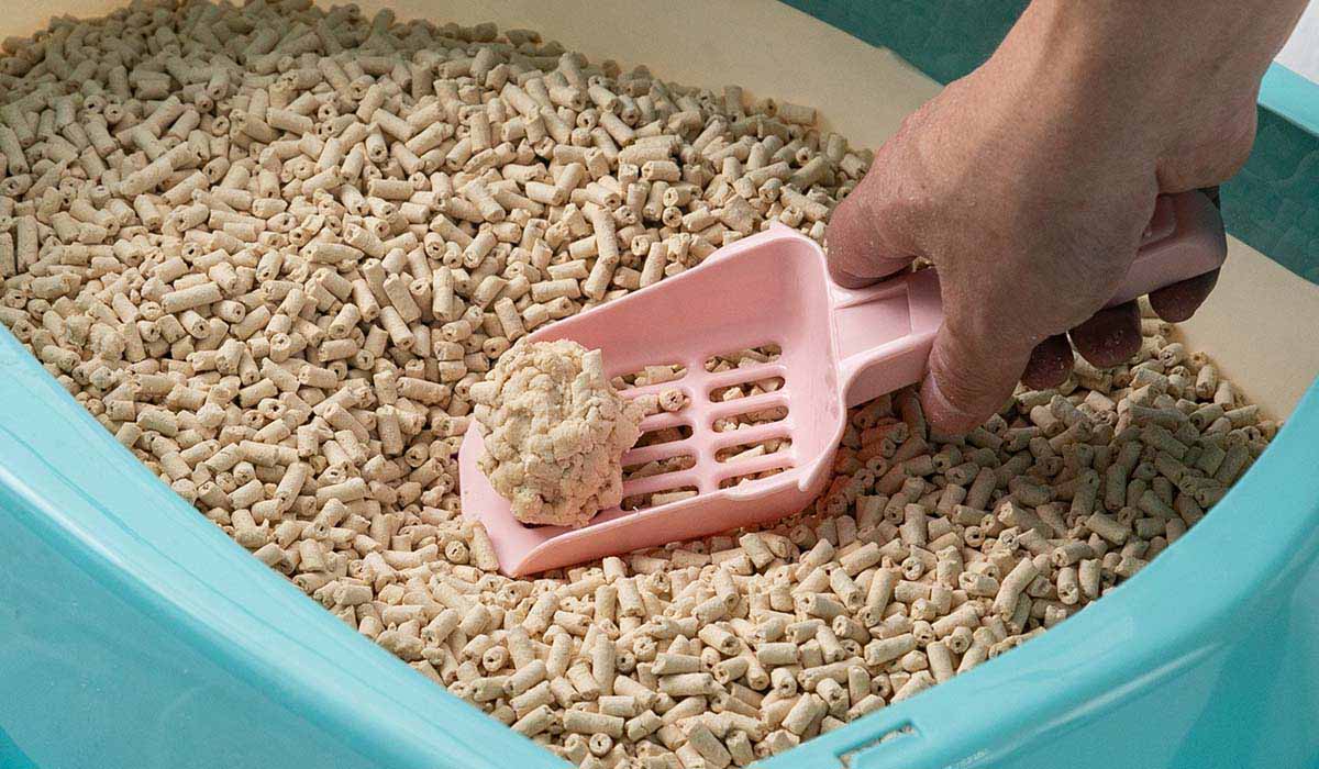 トイレタリー支援から飼い主とペットの良い関係づくりを