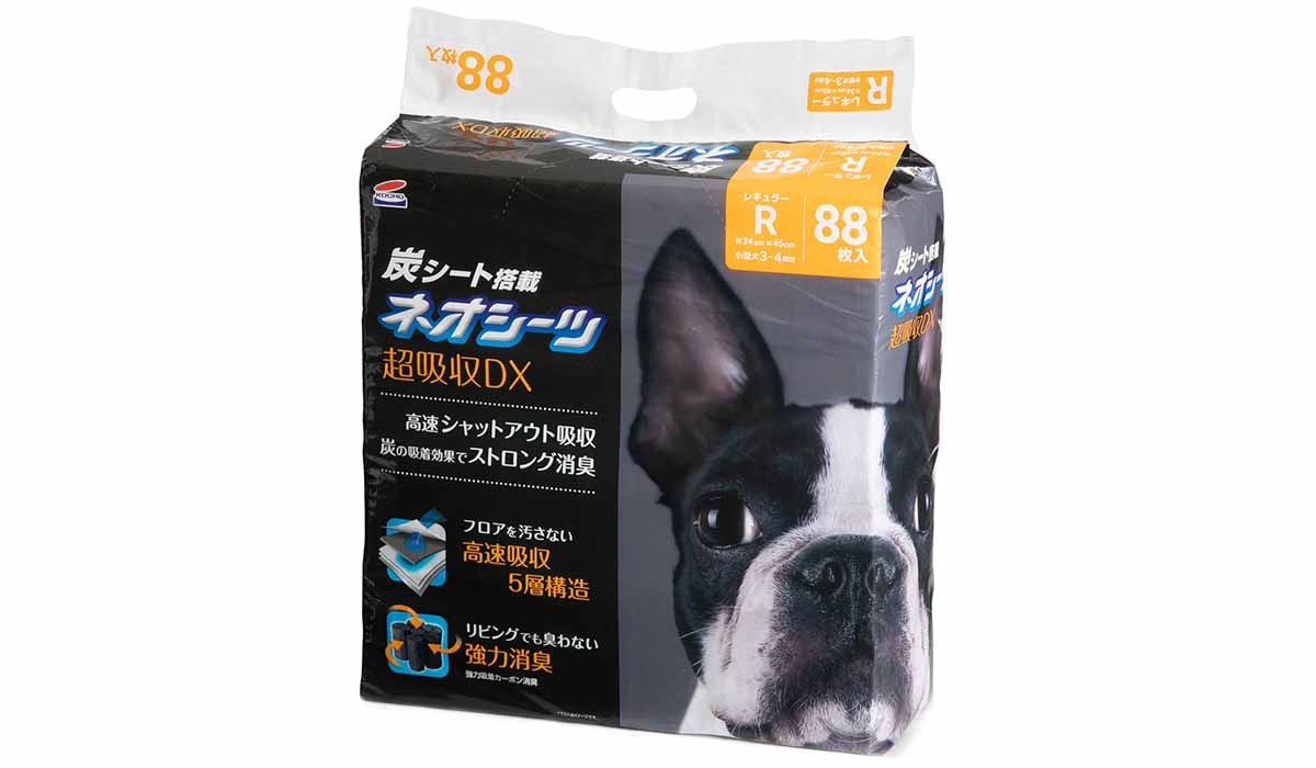 印象的で記憶に残る戦略的パッケージ